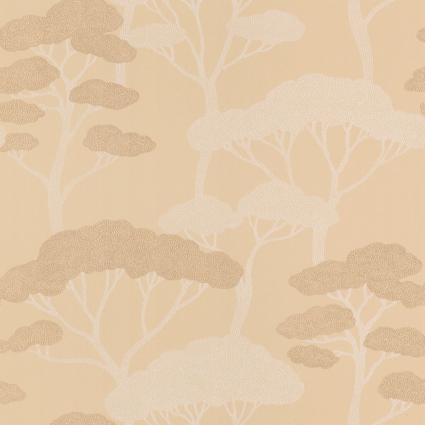 Sweet Wallpaper - Beige - Caselio - 106621017 - Premier Wallcovering