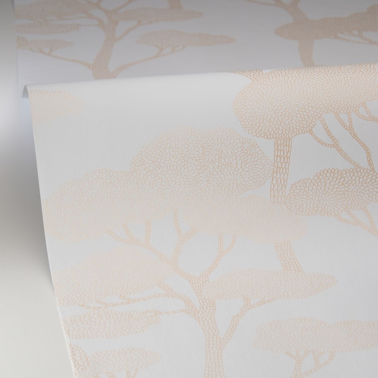 Sweet Wallpaper - Blanc - Caselio - 106620000 - Premier Wallcovering