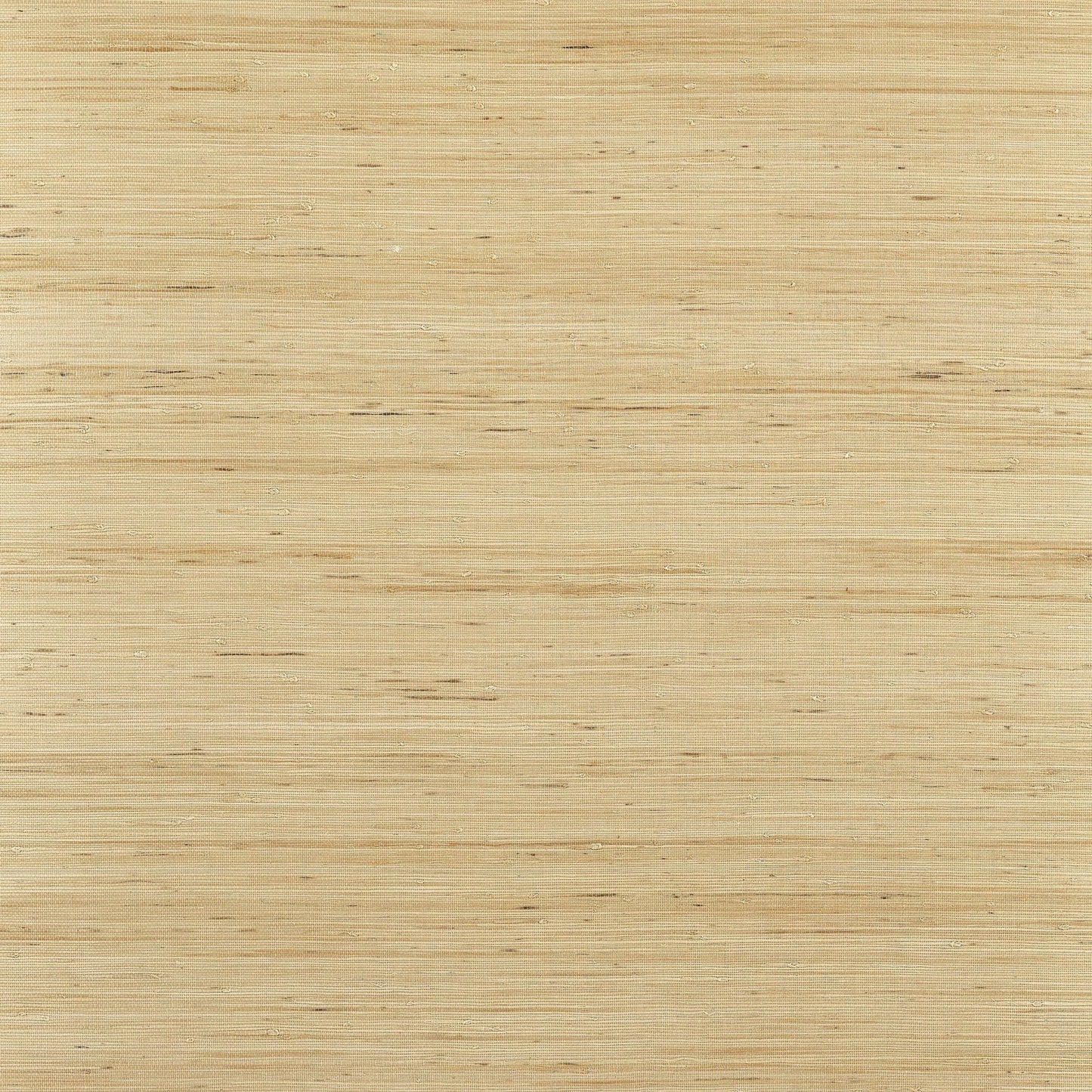 Sydney Wallpaper - Light Taupe - Thibaut - T19654 - Premier Wallcovering