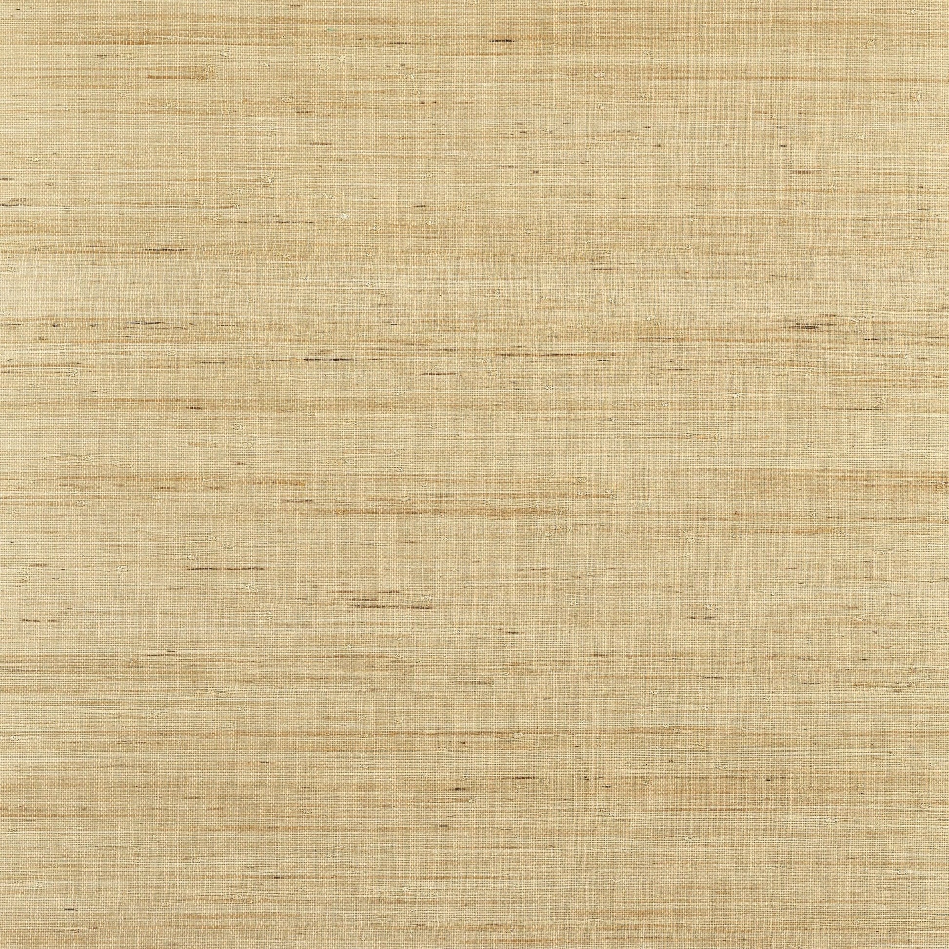Sydney Wallpaper - Light Taupe - Thibaut - T19654 - Premier Wallcovering