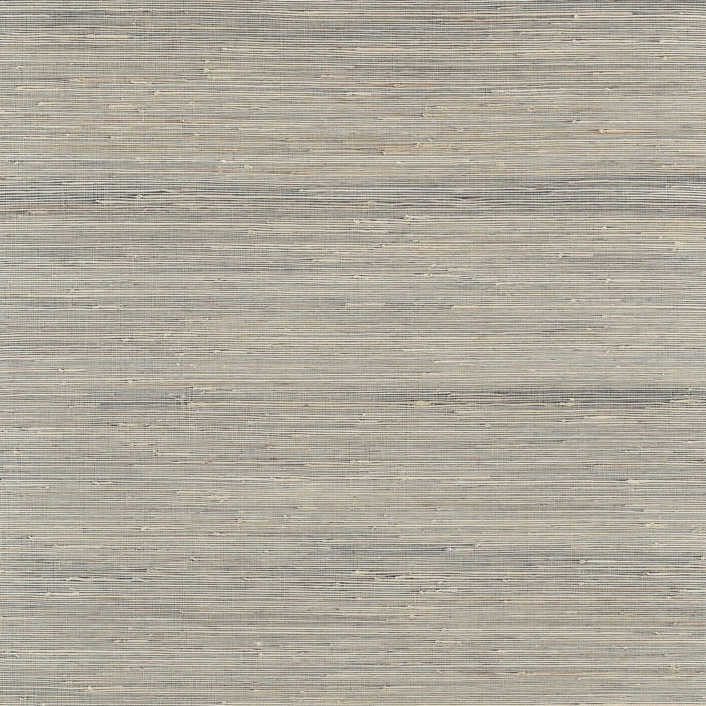 Sydney Wallpaper - Black - Thibaut - T19659 - Premier Wallcovering