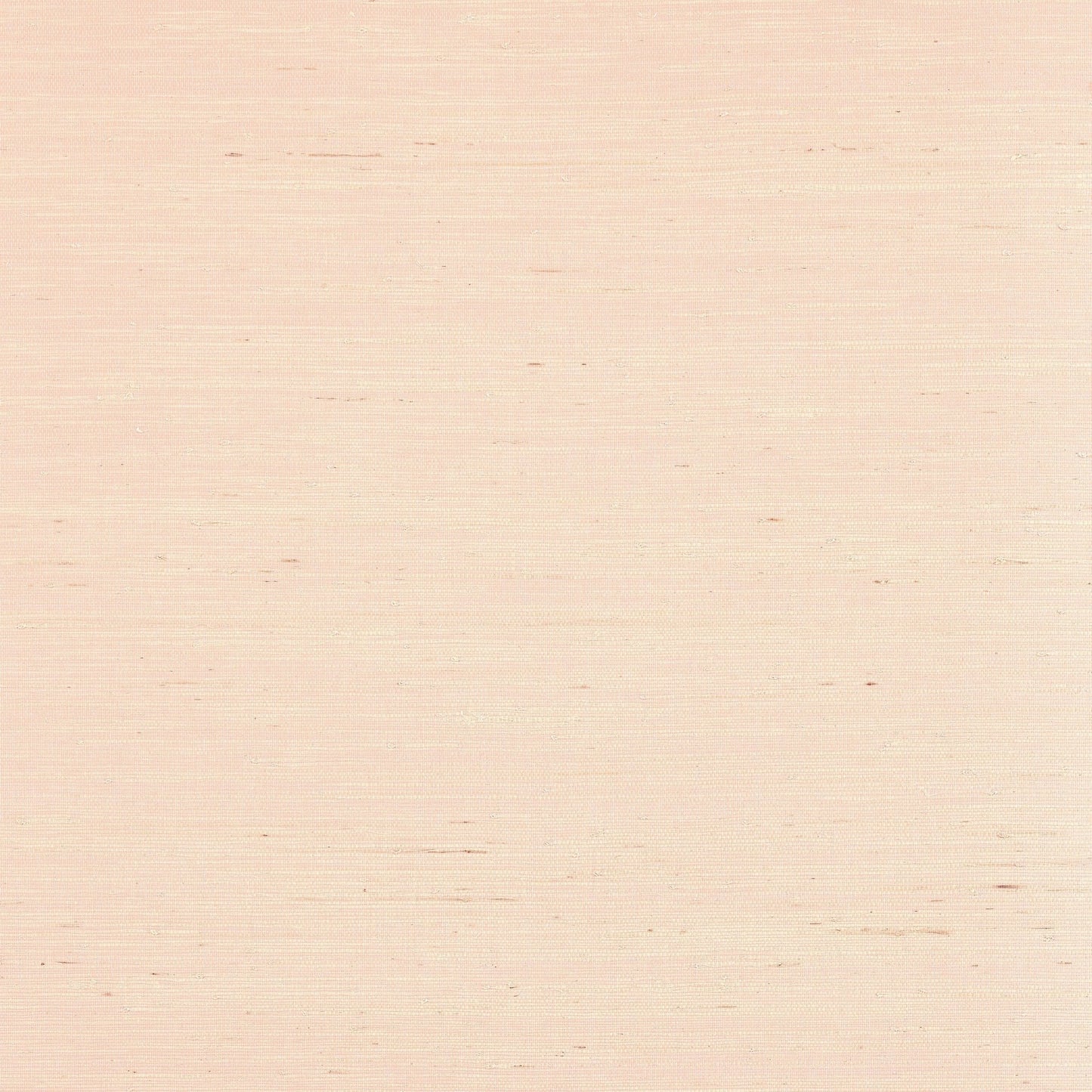Sydney Wallpaper - Seashell - Thibaut - T19655 - Premier Wallcovering