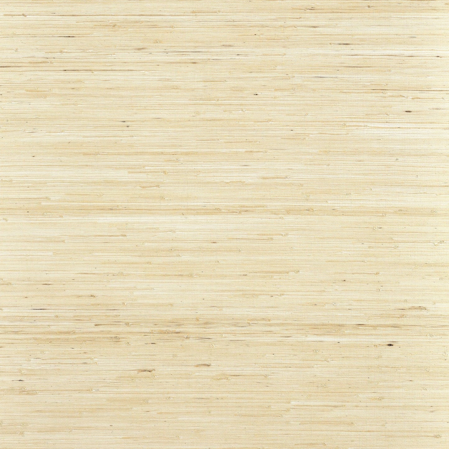 Sydney Wallpaper - Paperwhite - Thibaut - T19653 - Premier Wallcovering