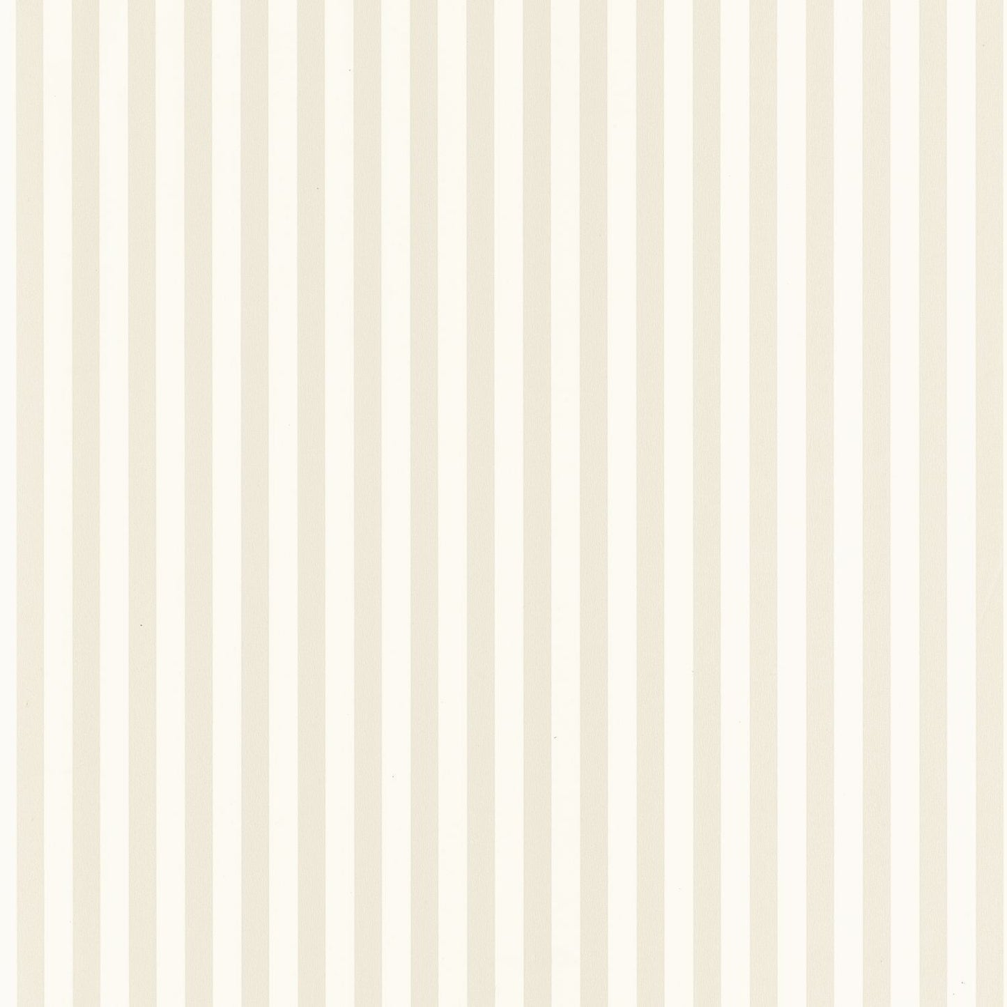 Talea Wallpaper - Beige - Caselio - 106670123 - Premier Wallcovering