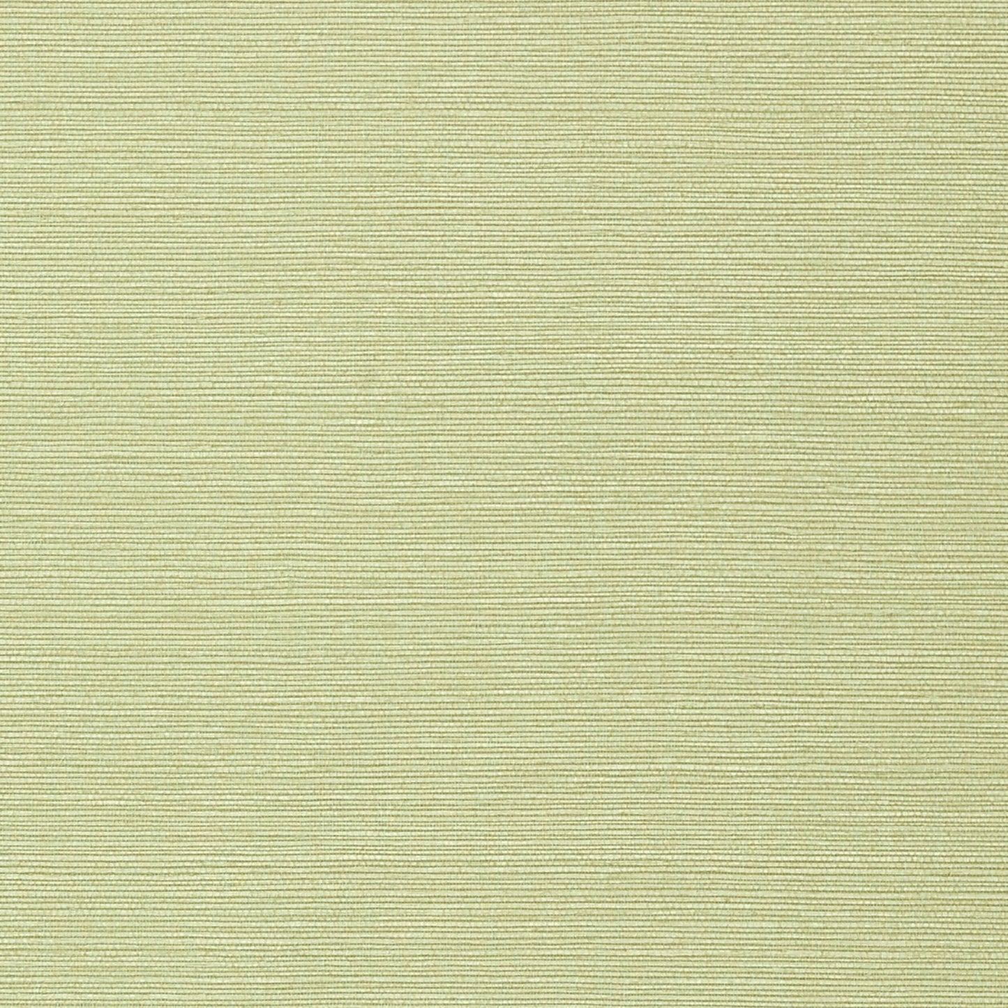 Taluk Sisal Wallpaper - Willow - Thibaut - T75153 - Premier Wallcovering