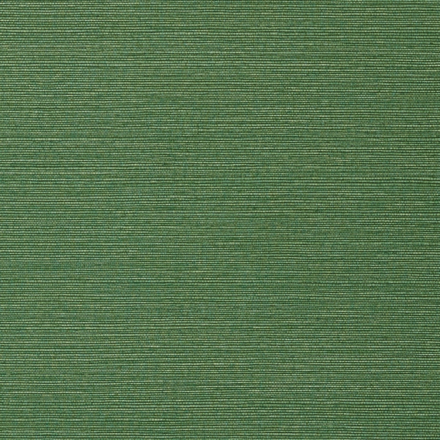 Taluk Sisal Wallpaper - Green - Thibaut - T75154 - Premier Wallcovering