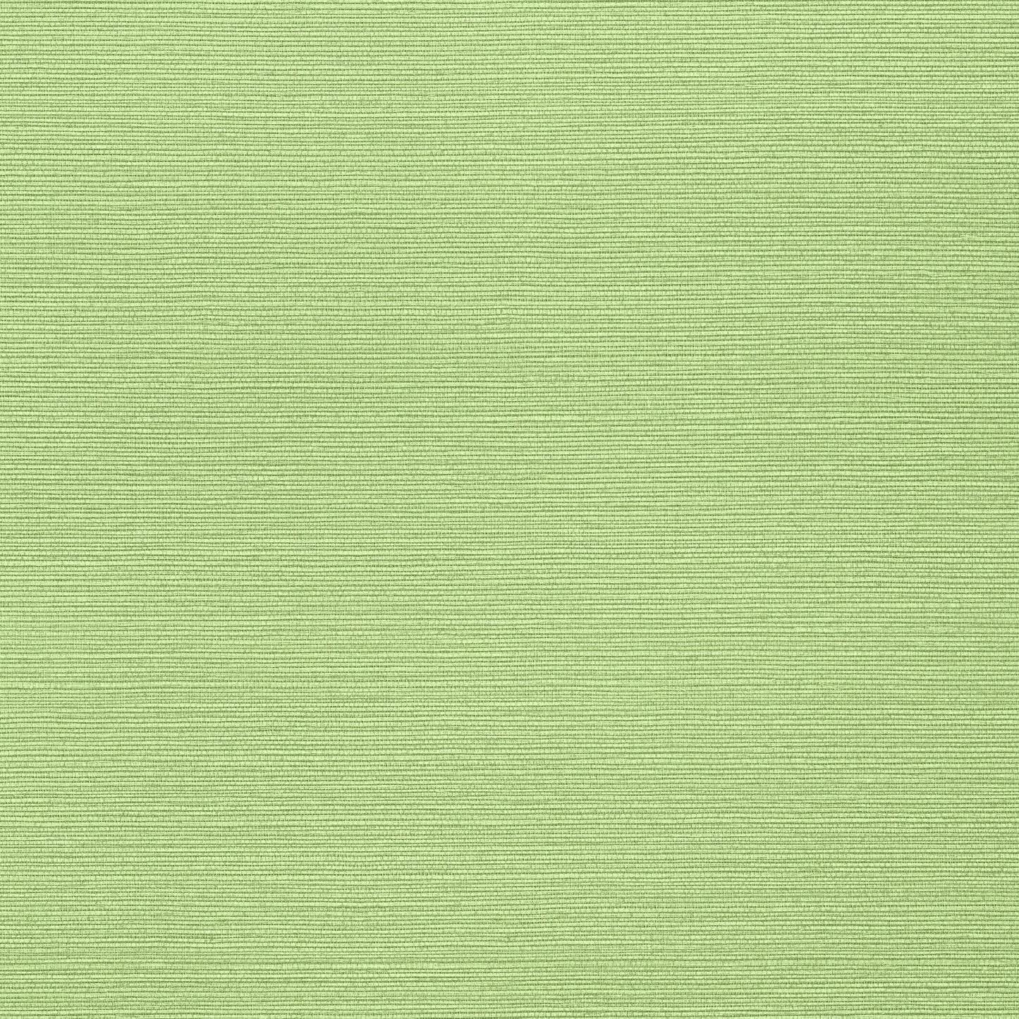 Taluk Sisal Wallpaper - Spring - Thibaut - T287 - Premier Wallcovering