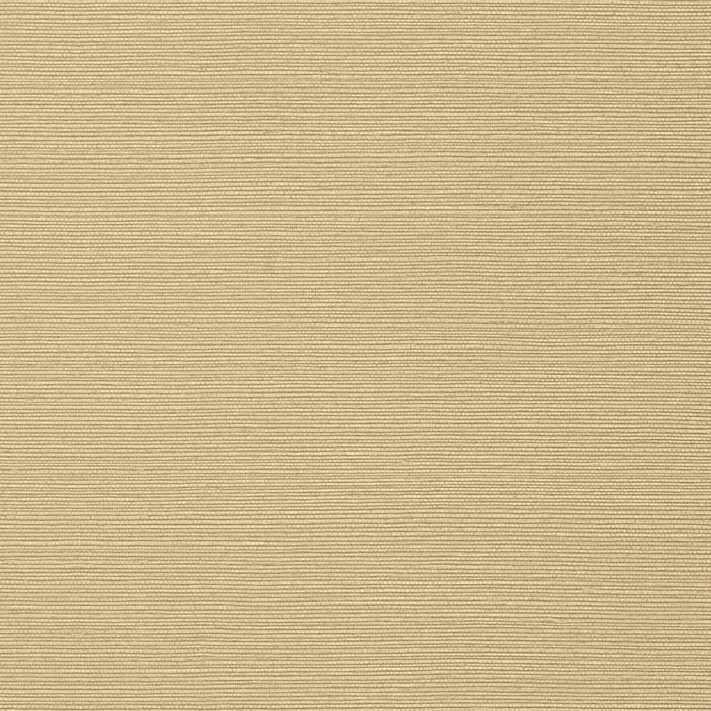 Taluk Sisal Wallpaper - Sand - Thibaut - T75148 - Premier Wallcovering