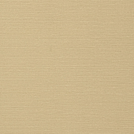 Taluk Sisal Wallpaper - Sand - Thibaut - T75148 - Premier Wallcovering