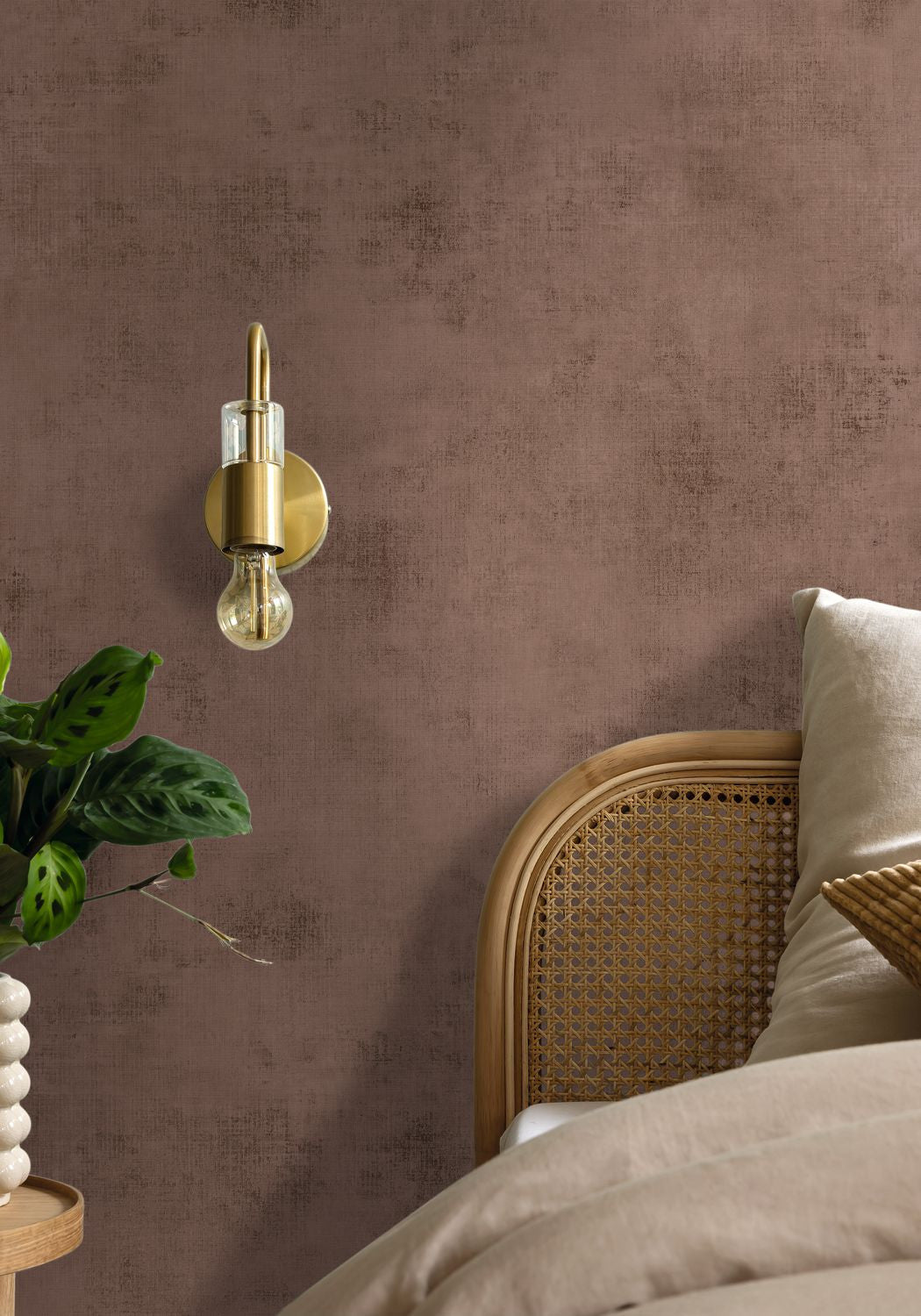 Telas 2 Uni Wallpaper - Marron - Caselio - 102062525 - Premier Wallcovering