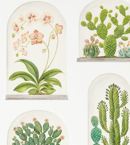 Terrariums Wallpaper - Chalk/Green - DGLW216655 - Sanderson - Premier Wallcovering