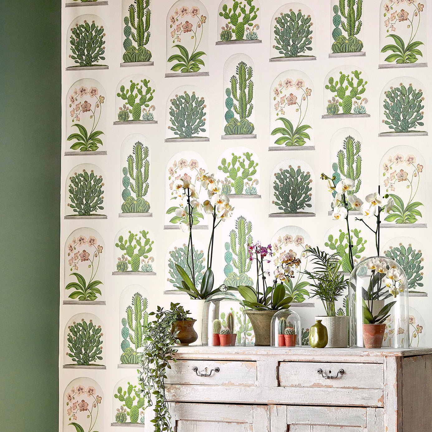 Terrariums Wallpaper - Botanical Green/Multi - Sanderson - DGLW216656 - Premier Wallcovering