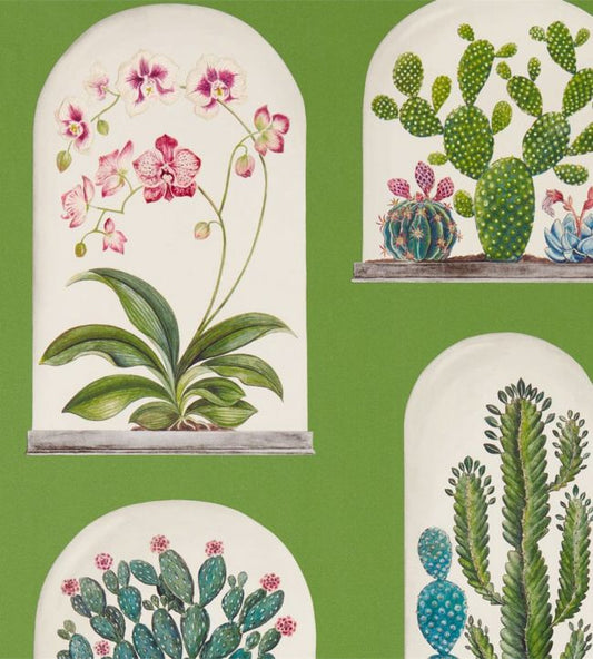 Terrariums Wallpaper - Botanical Green/Multi - DGLW216656 - Sanderson - Premier Wallcovering
