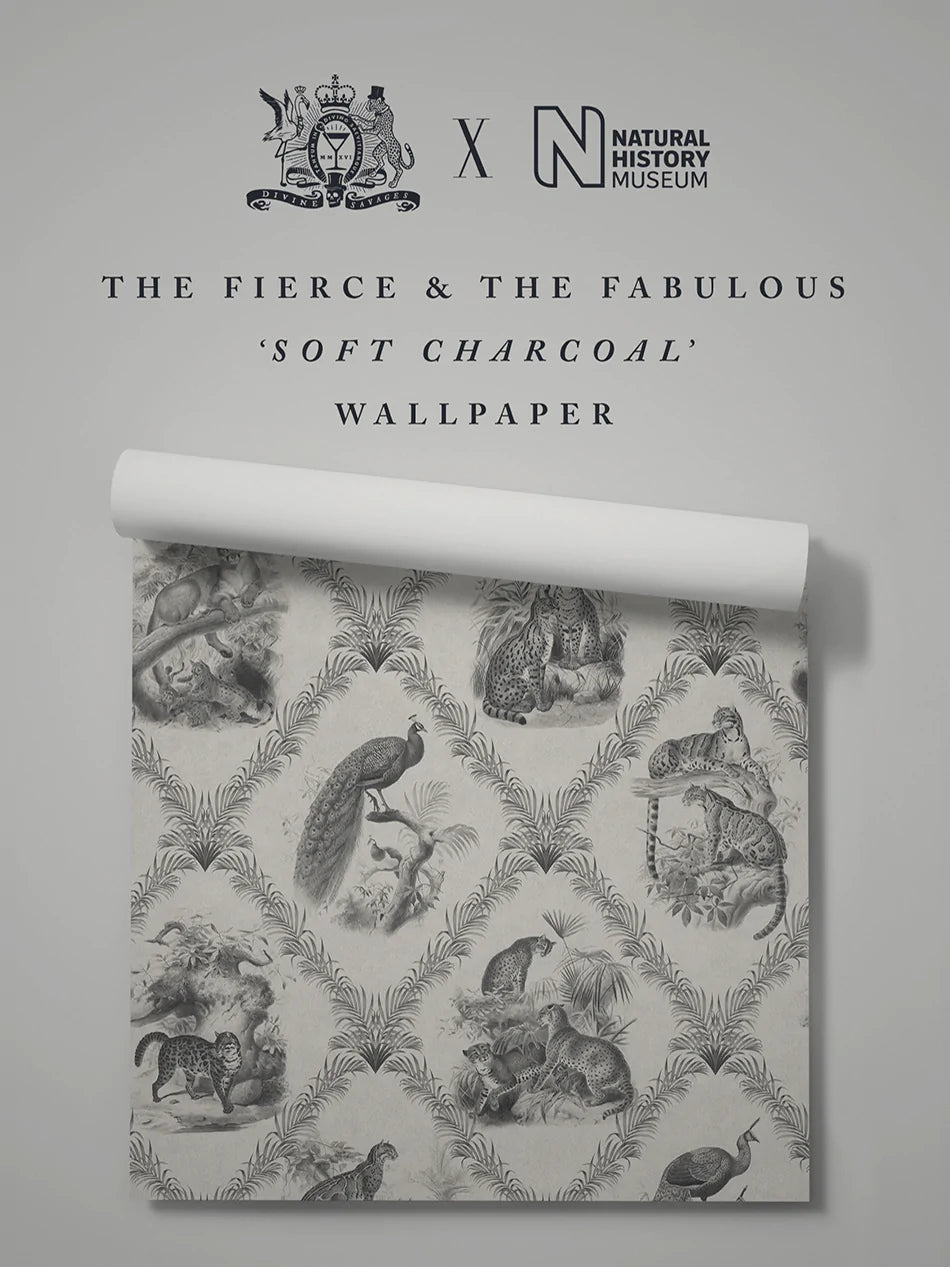 The Fierce & The Fabulous Wallpaper - Soft Charcoal - Divine Savages - DVS131-FFAB-CHAR-WR - Premier Wallcovering