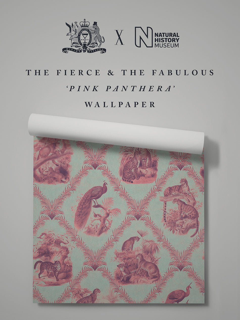 The Fierce & The Fabulous Wallpaper - Pink Panthera - Divine Savages - DVS132-FFAB-PINK-WR - Premier Wallcovering