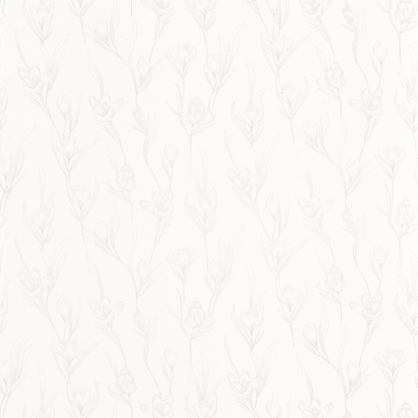 The Place To Bed Day Dreaming Wallpaper - Blanc Irise - Caselio - 101780020 - Premier Wallcovering