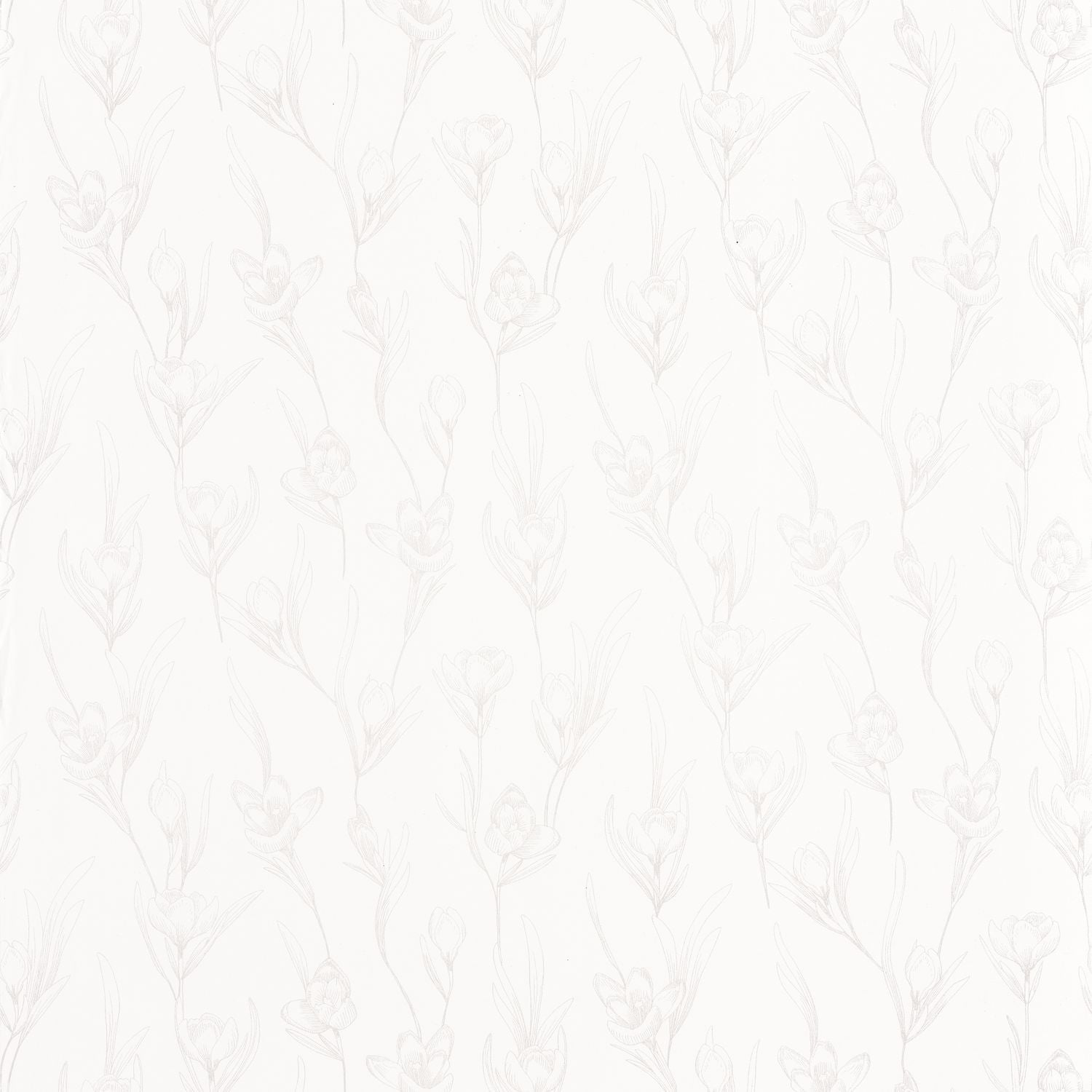 The Place To Bed Day Dreaming Wallpaper - Blanc Irise - Caselio - 101780020 - Premier Wallcovering