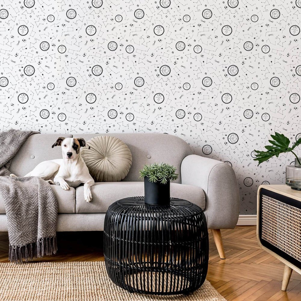 There's A Star For Everyone Wallpaper - Moon Grey - Lust Home - LH900092 - Premier Wallcovering