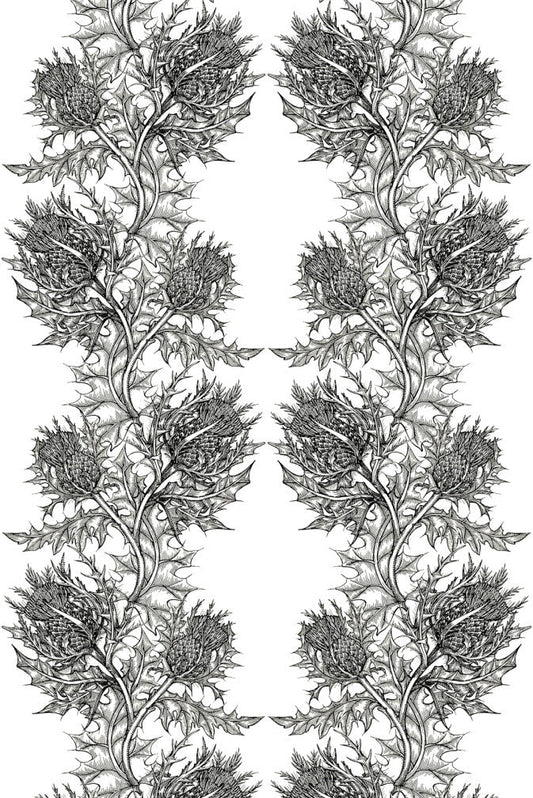 Thistle Fabric - Black - Timorous Beasties - THL/LU/01 - Premier Wallcovering