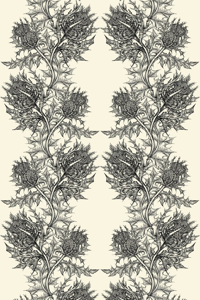 Thistle Superwide Wallpaper - Black on Ivory - Timorous Beasties - SWP/THL/IVY/01 - Premier Wallcovering