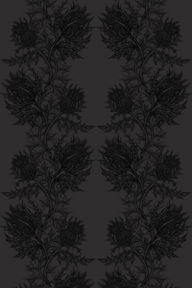 Thistle Superwide Wallpaper - Black on Black - Timorous Beasties - SWP/THL/BLK/05 - Premier Wallcovering