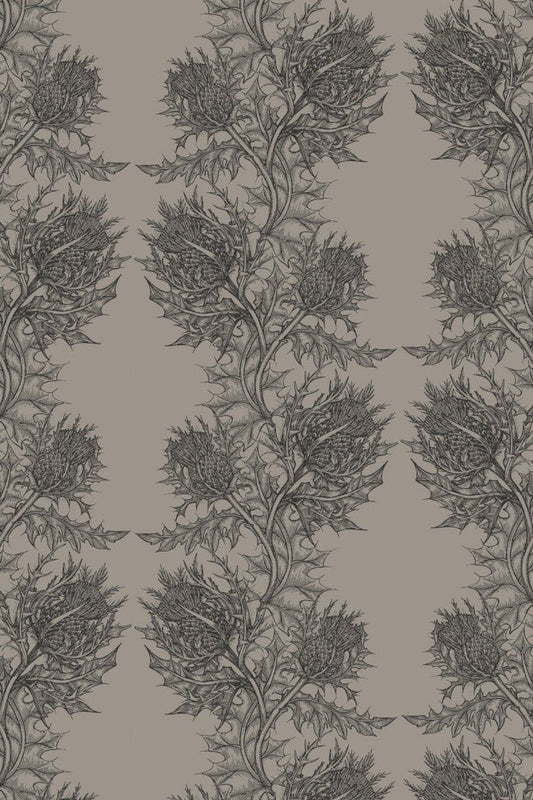 Thistle Wallpaper - Slate on Grey - Timorous Beasties - HS/THL/5006/SNW - Premier Wallcovering