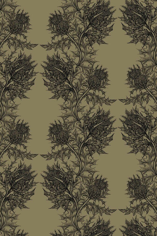 Thistle Wallpaper - Black on Khaki - Timorous Beasties - HS/THL/4002/SNW - Premier Wallcovering