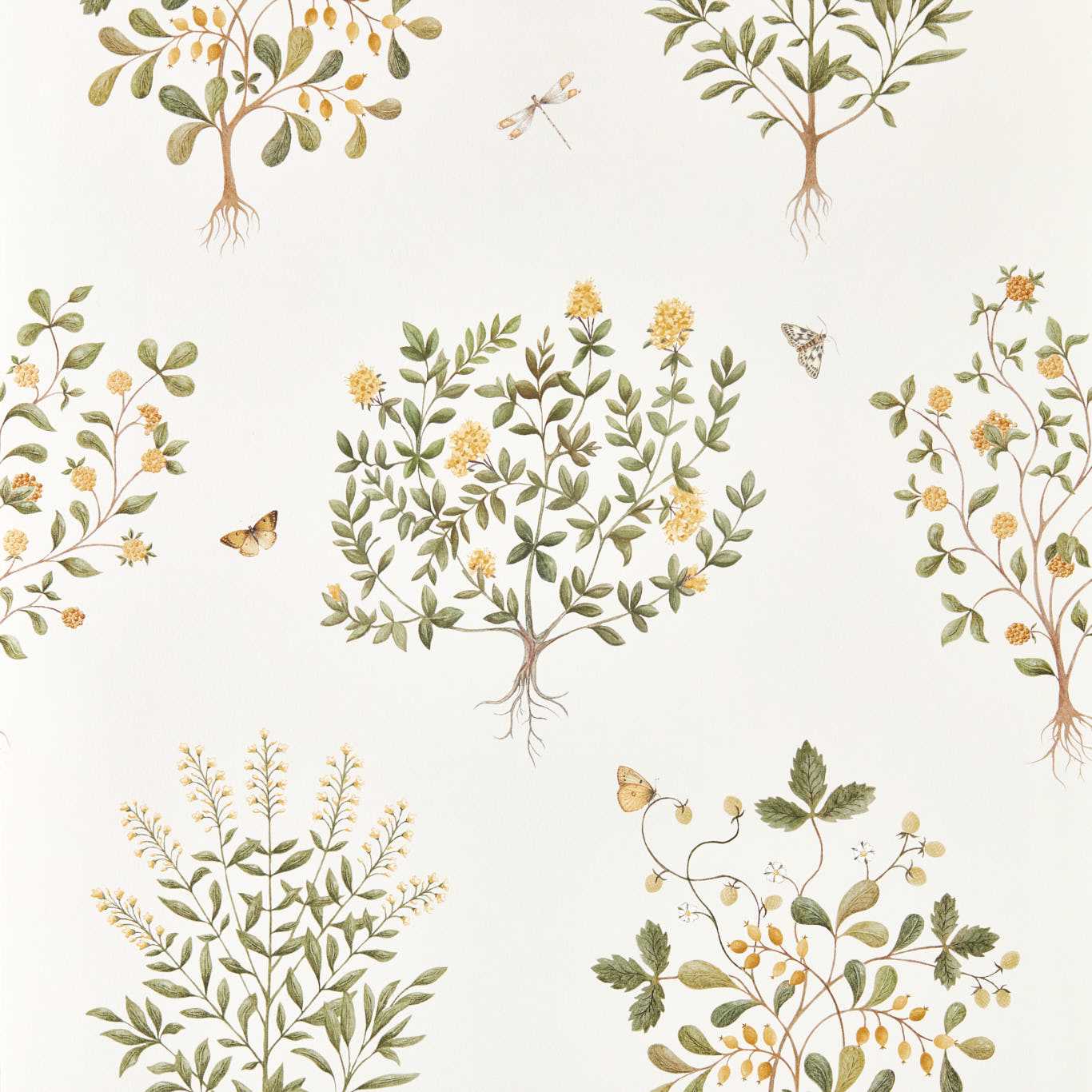 Thyme Walk Wallpaper - Lichen/Gooseberry - Sanderson - DHIP217508 - Premier Wallcovering
