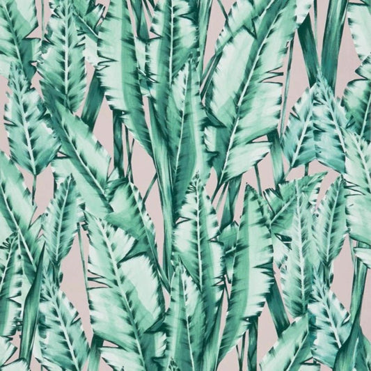 Tiger Leaf Wallpaper - Mint / Blush - Osborne & Little - W7333-01 - Premier Wallcovering