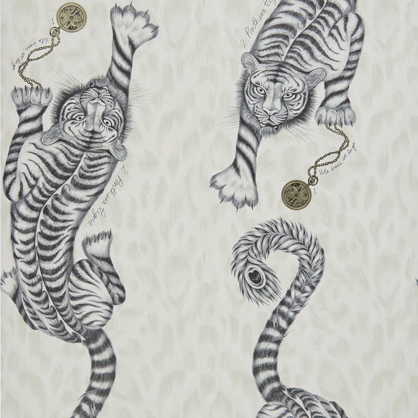 Tigris Wallpaper - Monochrome - Clarke & Clarke - Emma J Shipley - W0105/02 - Premier Wallcovering
