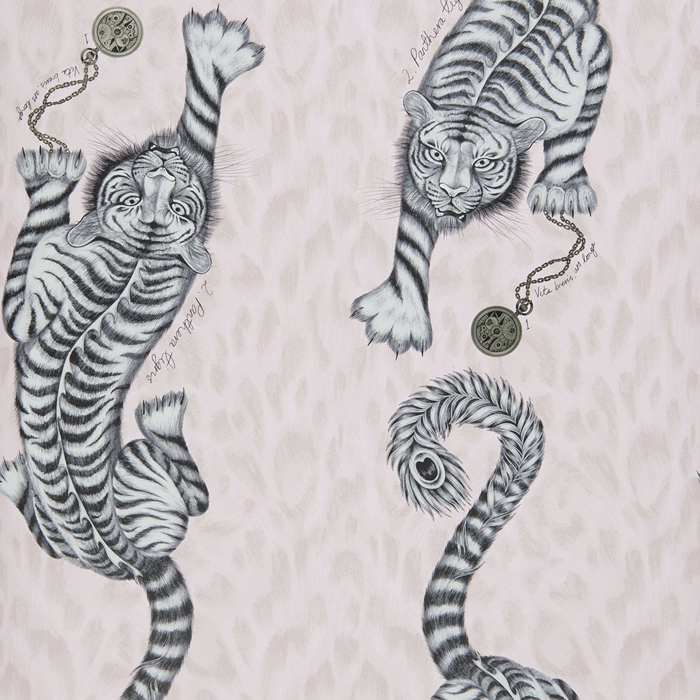 Tigris Wallpaper - Pink - Clarke & Clarke - Emma J Shipley - W0105/04 - Premier Wallcovering