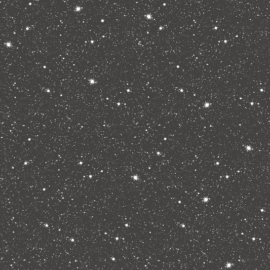Tiny Tots 2 Space Sidewall Wallpaper - Black / Glitter - Galerie - G78407 - Premier Wallcovering