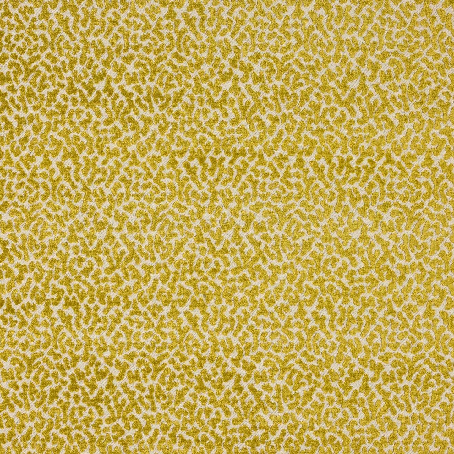 Tobago Fabric - Anis - Manuel Canovas - M4110-04 - Premier Wallcovering