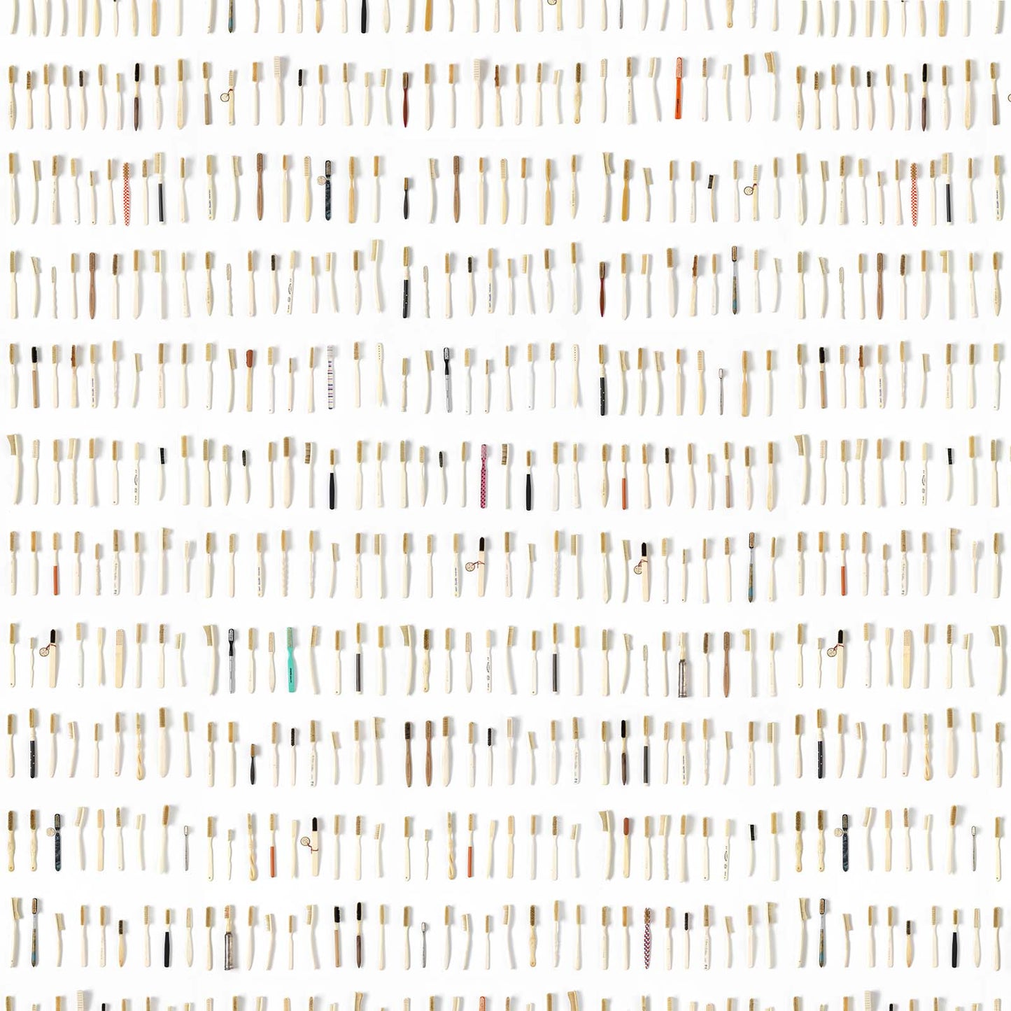 Toothbrushes Small Wallpaper - White - NLXL - DRO - 03 - Premier Wallcovering
