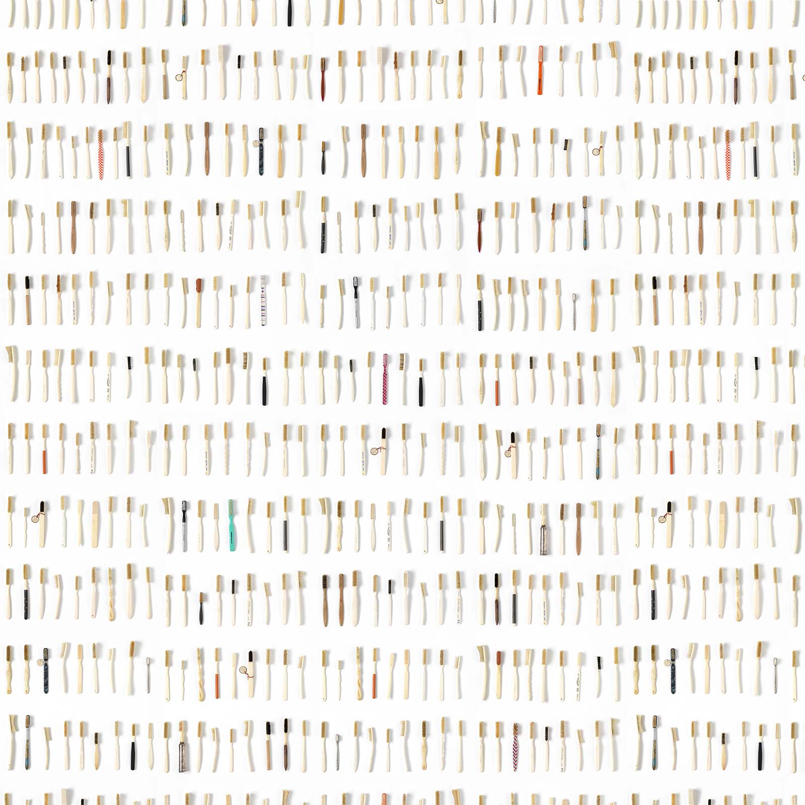 Toothbrushes Small Wallpaper - White - NLXL - DRO - 03 - Premier Wallcovering