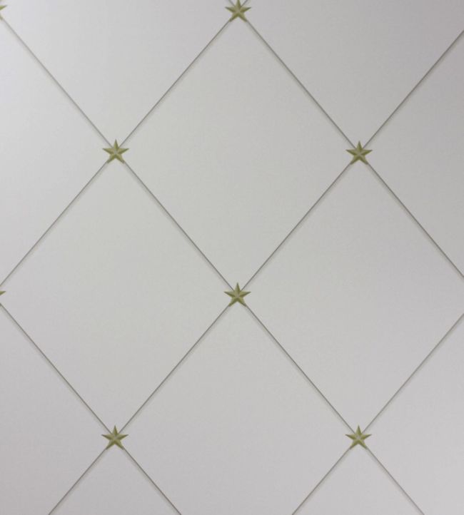 Torosay Wallpaper - Gold/Taupe - Nina Campbell - NCW4151 - 05 - Premier Wallcovering
