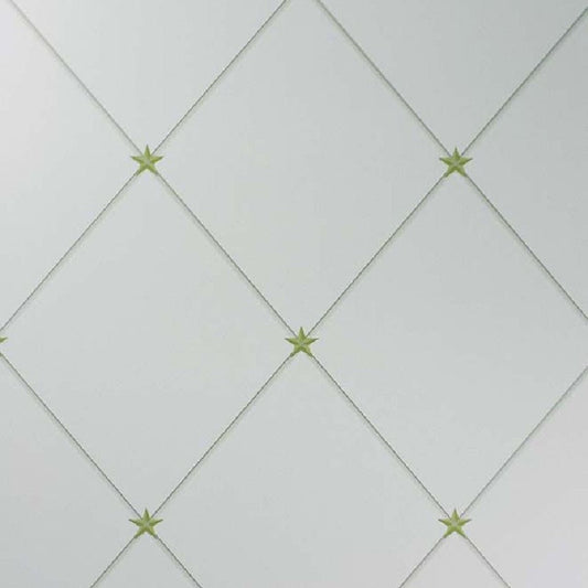 Torosay Wallpaper - Gold/Aqua - Nina Campbell - NCW4151-04 - Premier Wallcovering