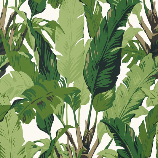 Travelers Palm Wallpaper - Green - Thibaut - T10127 - Premier Wallcovering