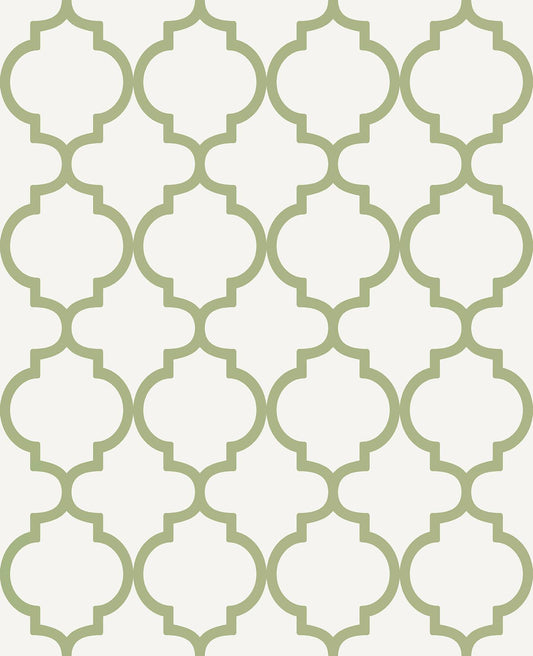 Trellia Wallpaper - Green - Graham & Brown - 130301 - Premier Wallcovering