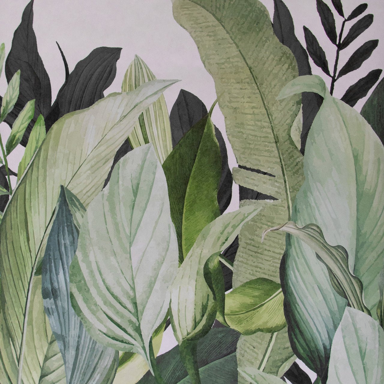 Tropical Forest Wall Mural - Coconut - Hohenberger - 18001 - Premier Wallcovering