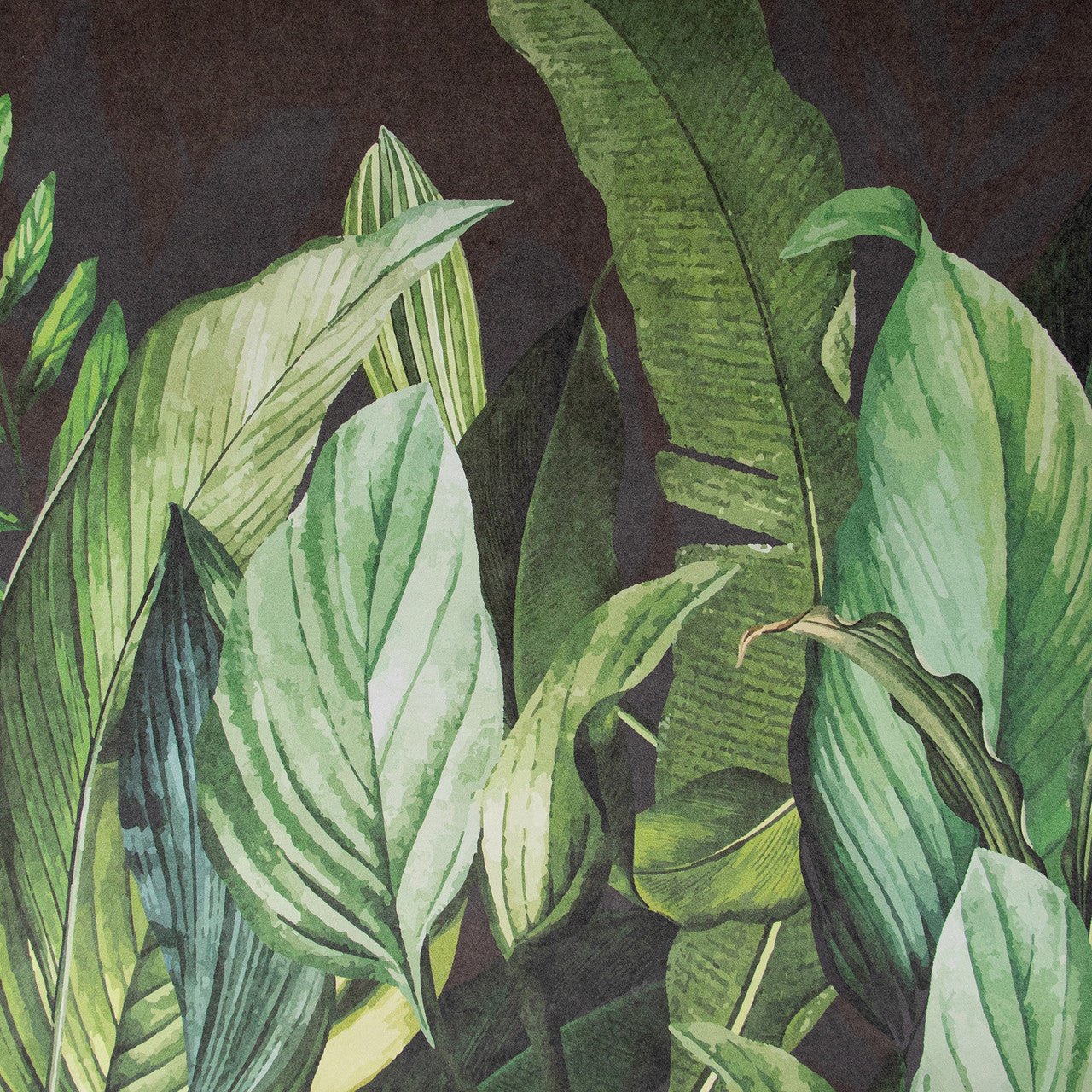 Tropical Forest Wall Mural - Blackberry - Hohenberger - 18002 - Premier Wallcovering