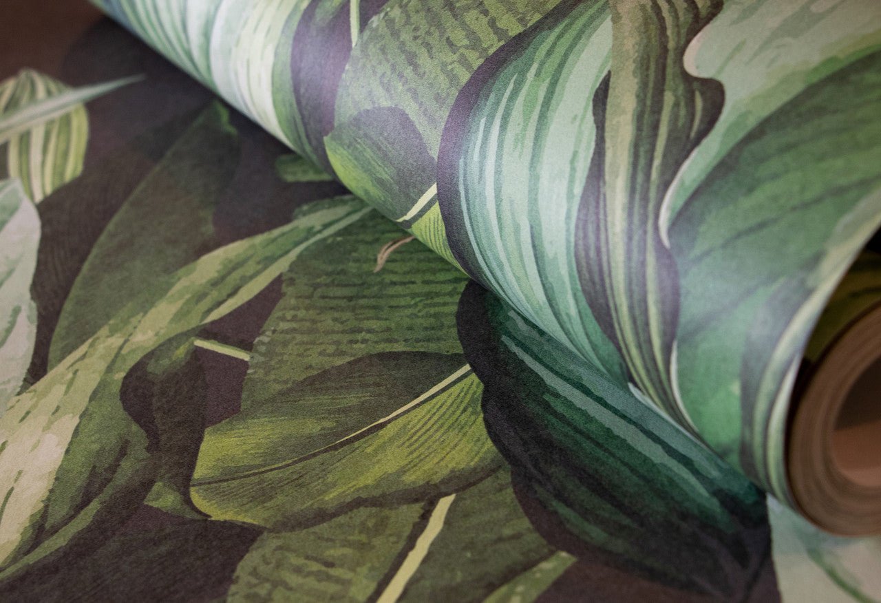 Tropical Forest Wall Mural - Blackberry - Hohenberger - 18002 - Premier Wallcovering