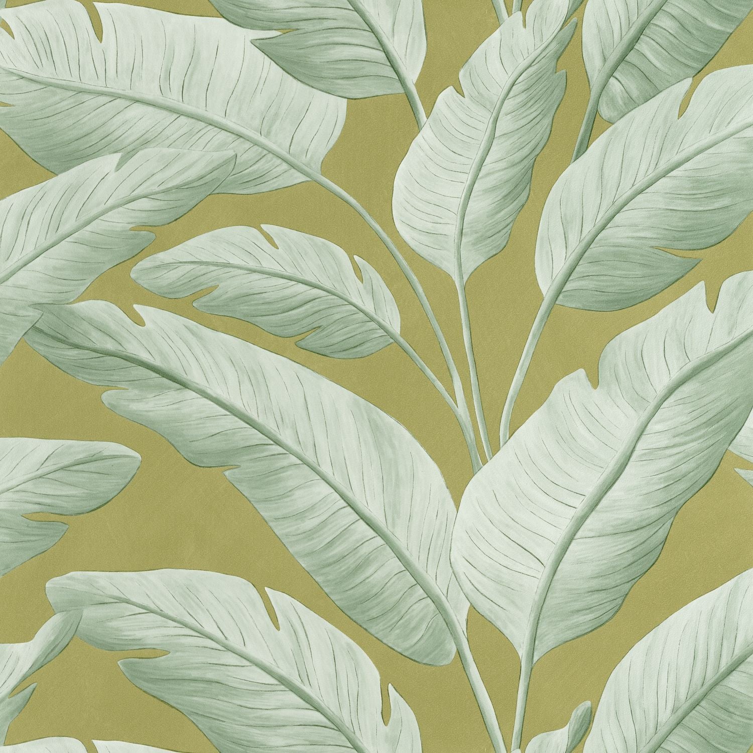 Tropicalia Wallpaper - Kaki - Caselio - 106547122 - Premier Wallcovering