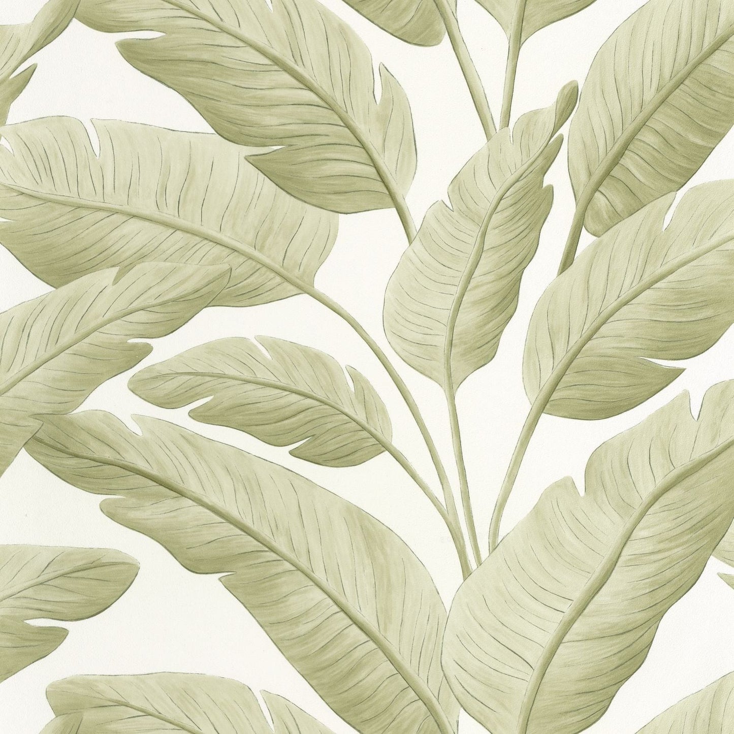 Tropicalia Wallpaper - Amande - Caselio - 106547003 - Premier Wallcovering