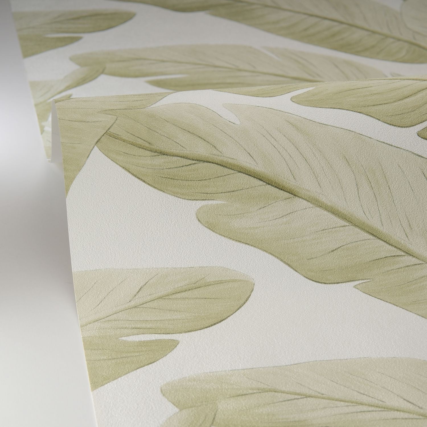 Tropicalia Wallpaper - Amande - Caselio - 106547003 - Premier Wallcovering
