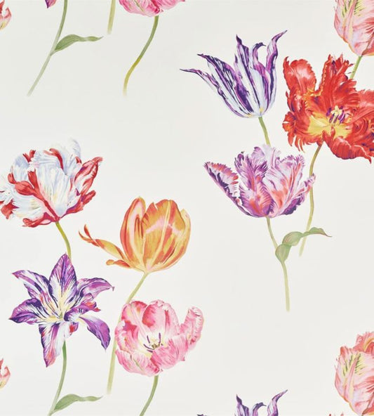 Tulipomania Wallpaper - Botanical - DGLW216666 - Sanderson - Premier Wallcovering