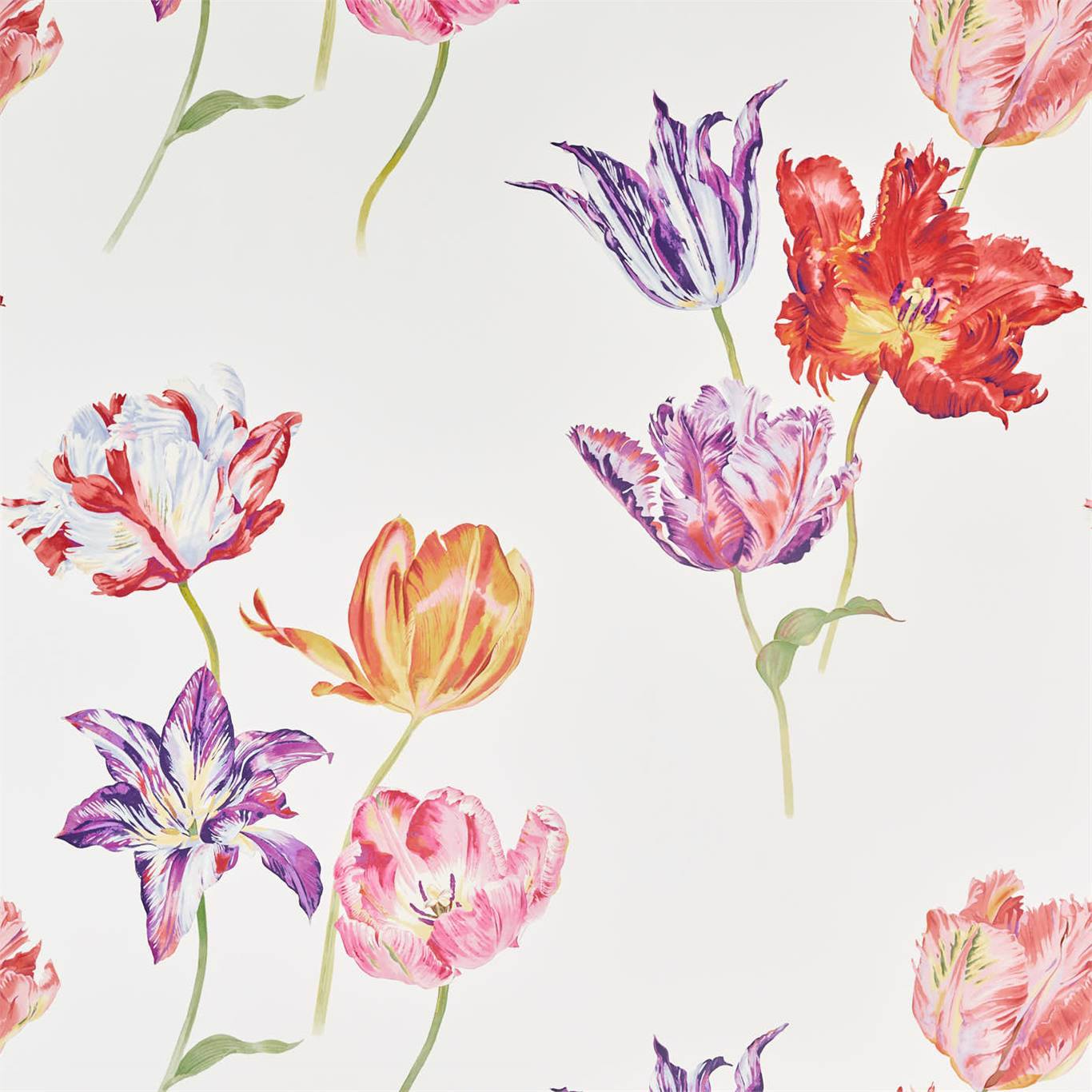 Tulipomania Wallpaper - Botanical - Sanderson - DGLW216666 - Premier Wallcovering