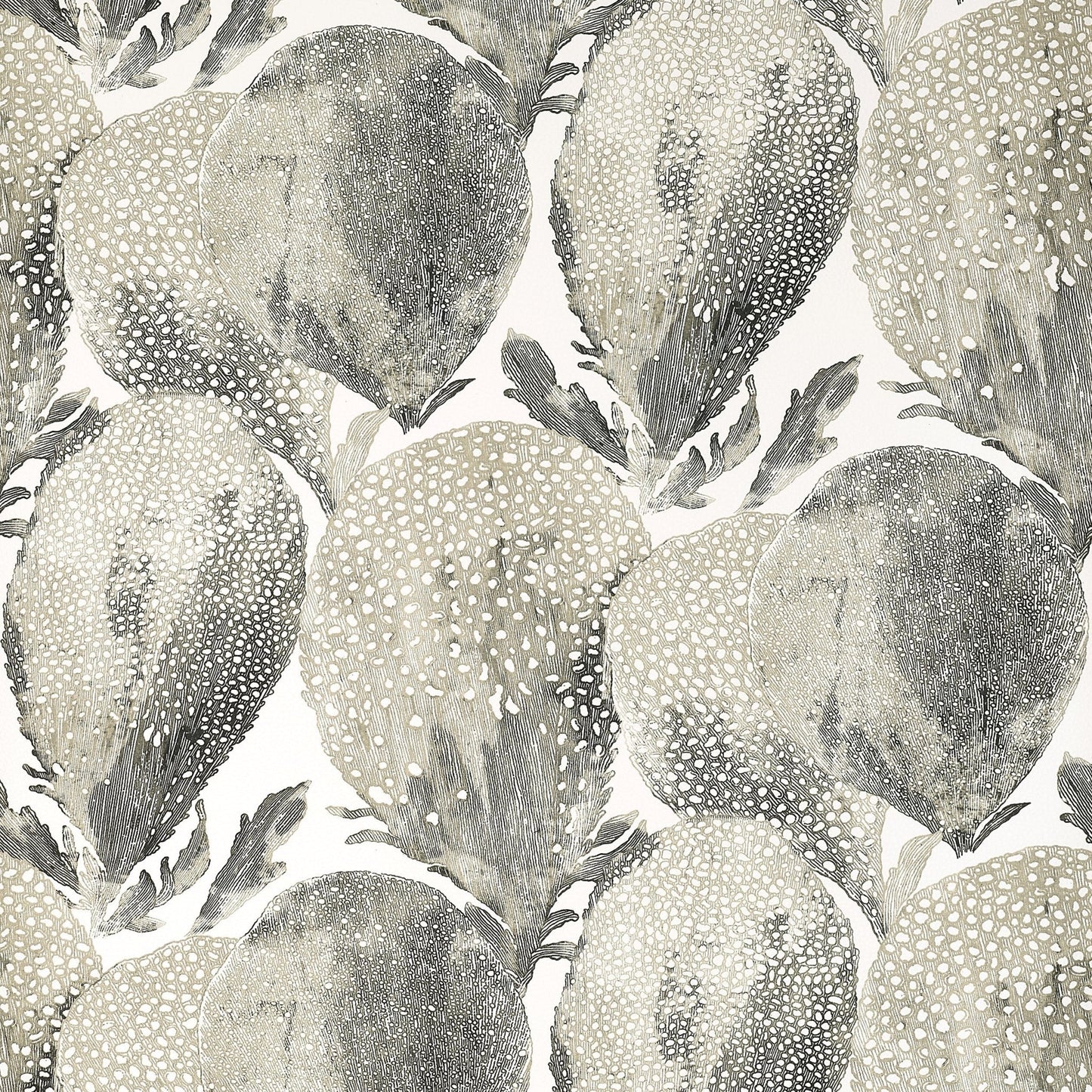 Under The Sea Wallpaper - Black & White - Thibaut - T15826 - Premier Wallcovering