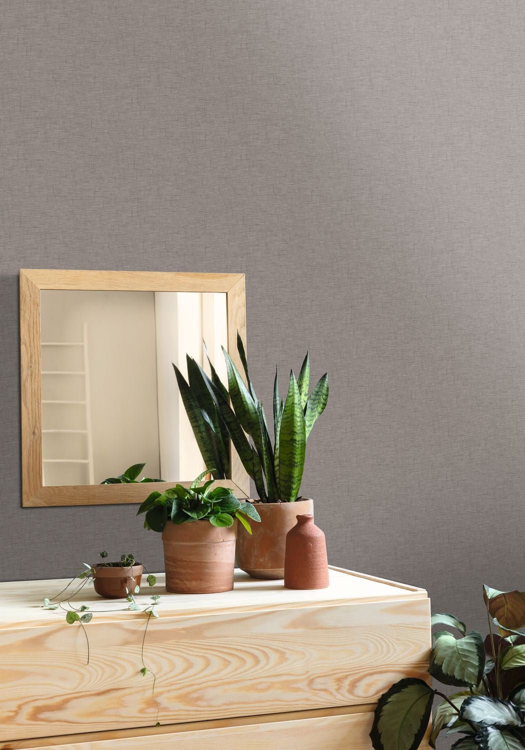 Uni Gaze Wallpaper - Taupe - Caselio - 103761840 - Premier Wallcovering