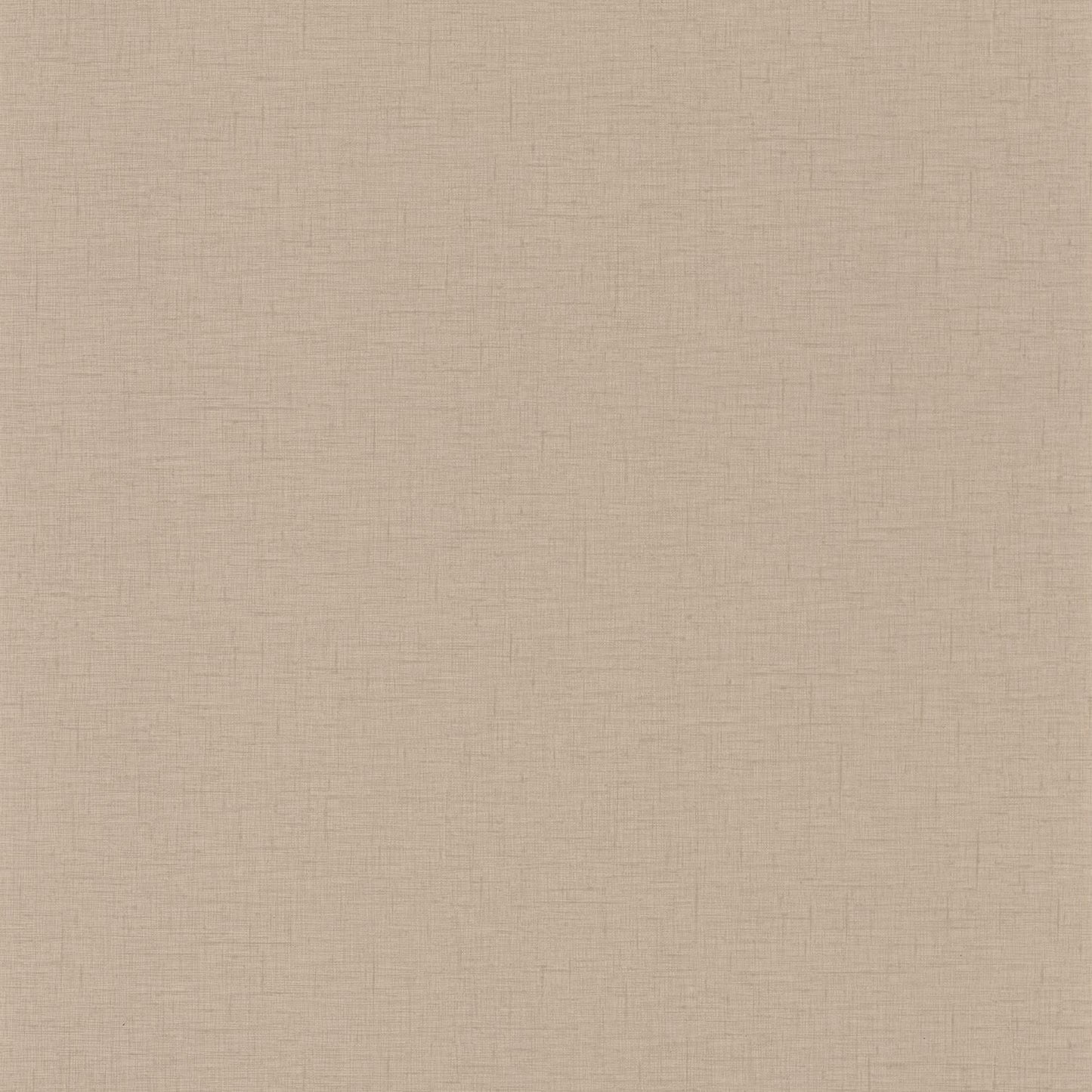 Uni Gaze Wallpaper - Marron Glace - Caselio - 103762000 - Premier Wallcovering